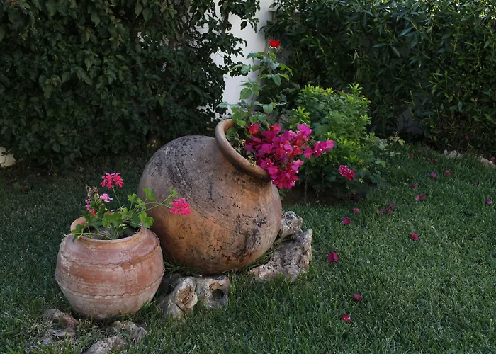 Apart Otel Muthu Balaia Sol Albufeira