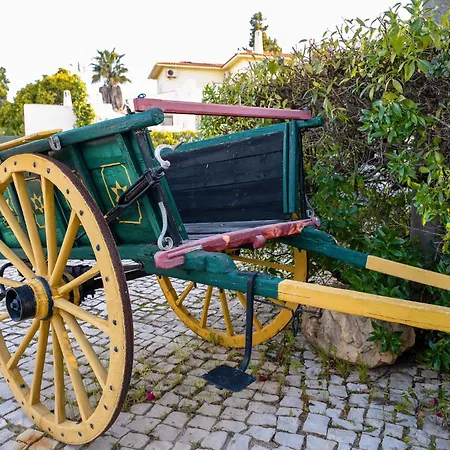 Апарт-отель Muthu Balaia Sol