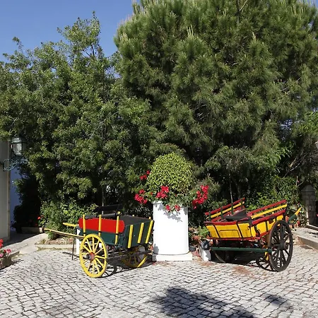 Aparthotel Balaia Sol Club 